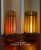 The Reveal 2.0 - Commercial License - STL Files