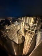 Neurogenesis - Personal Use - STL Files